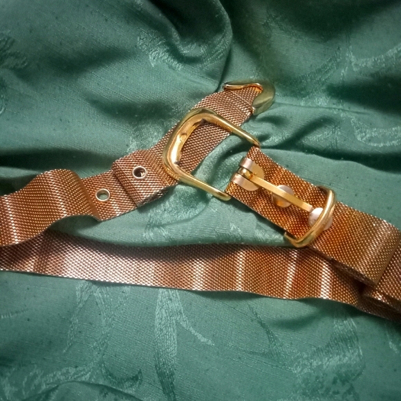 METALLIC Mesh Belt - Picture 1 of 3